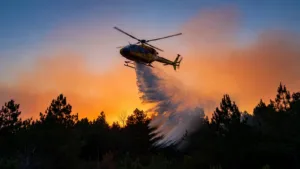 Risque très sévère de feux de forêt : le SDIS 17 renforce ses moyens en Charente-Maritime