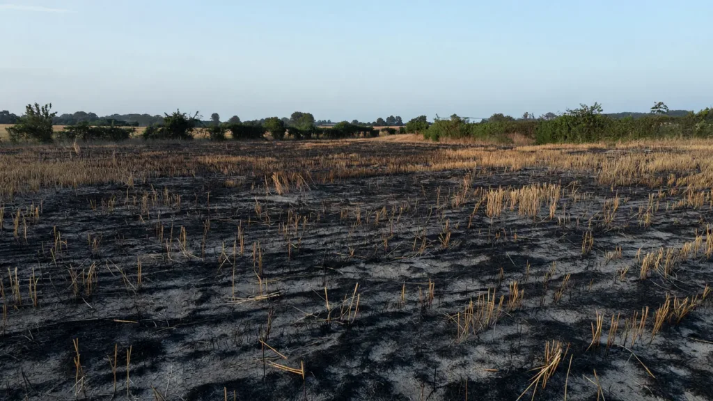 Saint-Félix et Marsais : 50 hectares de végétation détruits par un incendie le 24 juin