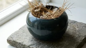Saint-Léonard : une nichée de mésanges découverte dans une poterie de la Semaine des arts
