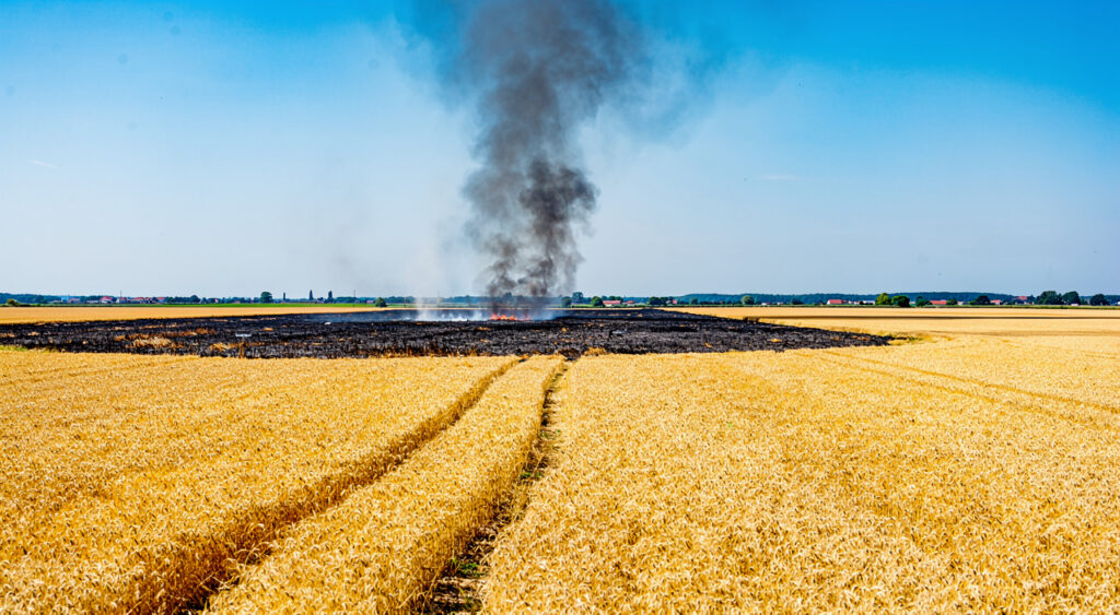 Saint-Vitte : 17 hectares de champs détruits par un feu parti d'une moissonneuse-batteuse