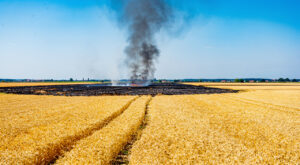 Saint-Vitte : 17 hectares de champs détruits par un feu parti d&rsquo;une moissonneuse-batteuse