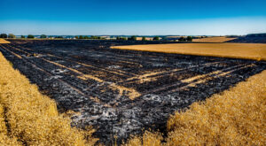 Sainte-Soulle : une moissonneuse-batteuse en feu, quatre hectares de culture détruits