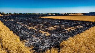 Sainte-Soulle : une moissonneuse-batteuse en feu, quatre hectares de culture détruits