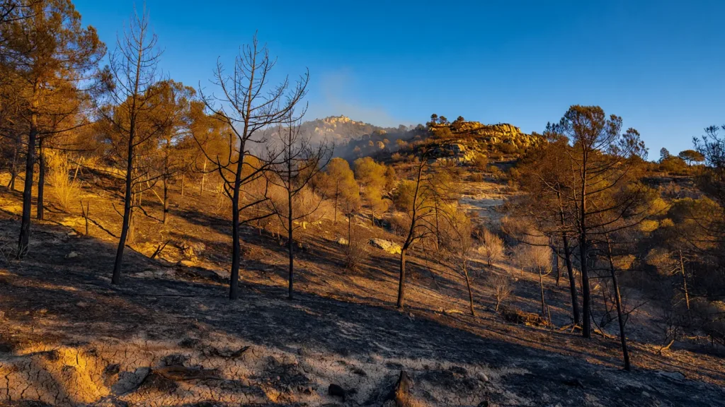 Salles-du-Gardon : un incendie déclenché par la foudre maîtrisé par une centaine de pompiers