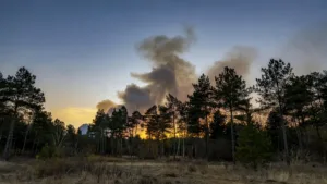 Sarthe : un incendie de forêt rapidement maîtrisé à Marigné-Laillé