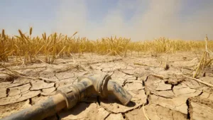 Sécheresse dans l&rsquo;Aube : l&rsquo;arrêté préfectoral entre en vigueur ce 26 juin