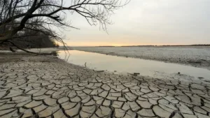 Sécheresse dans le Cher : deux bassins en crise, sept en alerte, restrictions renforcées