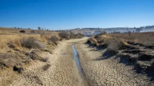 Sécheresse dans le Rhône : vigilance déclenchée face à la canicule