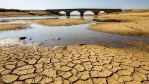 Sécheresse en Indre-et-Loire : des restrictions d&rsquo;eau renforcées dès ce dimanche 28 juin