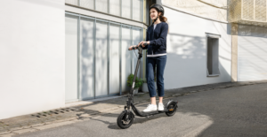 Segway Ninebot F2e II