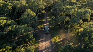 Seine-Maritime : l&rsquo;ONF déploie des patrouilles anti-incendie dans les forêts de Roumare et La Londe-Rouvray