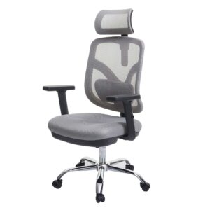 SIHOO chaise ergonomique support lombaire