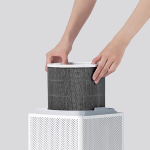 Smart Air Purifier 4 Lite