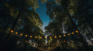 Soirée guinguette ce samedi au parc d&rsquo;Enchemont à Lesquin : DJ, food-trucks et entrée gratuite