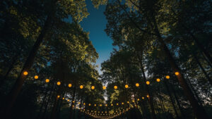 Soirée guinguette ce samedi au parc d'Enchemont à Lesquin : DJ, food-trucks et entrée gratuite