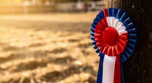 Sommet de l&rsquo;élevage 2026 : les vaches de retour à Cournon-d&rsquo;Auvergne du 6 au 9 octobre