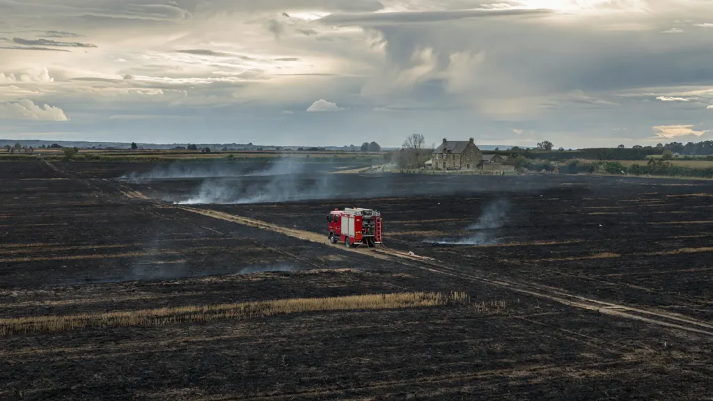 Sud-Sarthe : 80 pompiers mobilisés sur deux feux de culture à Luché-Pringé et Saint-Pierre-de-Chevillé