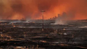 Tarn-et-Garonne : un poteau électrique déclenche un incendie de prairie par effet de loupe, 18 foyers sans courant