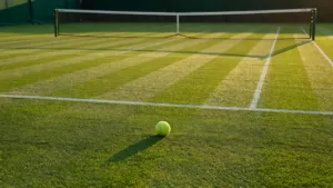 Tennis : Arthur Fils de retour sur le gazon après sa blessure à Roland-Garros