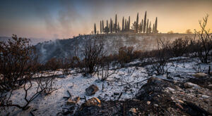 Toulon : 2 200 m² brûlés sur les hauteurs du Faron, feu maîtrisé par 56 pompiers