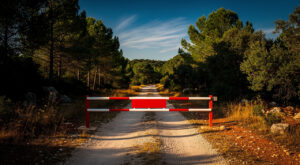 Vaucluse : vigilance orange feux de forêts maintenue le 15 juin