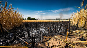 Vienne : déviation par la RD 54 après l&rsquo;incendie au carrefour RD 5 / RD 115 à Jouhet