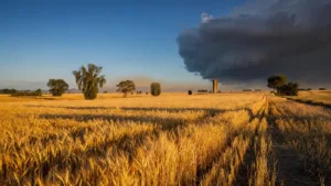 Vigilance orange canicule dans la Marne : le SDIS 51 rappelle les consignes