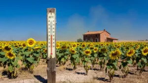 Vigilance orange canicule dans le Gers dès vendredi 19 juin : les consignes du Préfet
