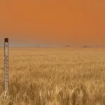Vigilance orange canicule prolongée en Somme : jusqu'à 38 °C attendus, consignes du Préfet