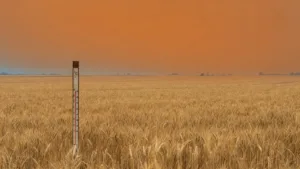 Vigilance orange canicule prolongée en Somme : jusqu&rsquo;à 38 °C attendus, consignes du Préfet
