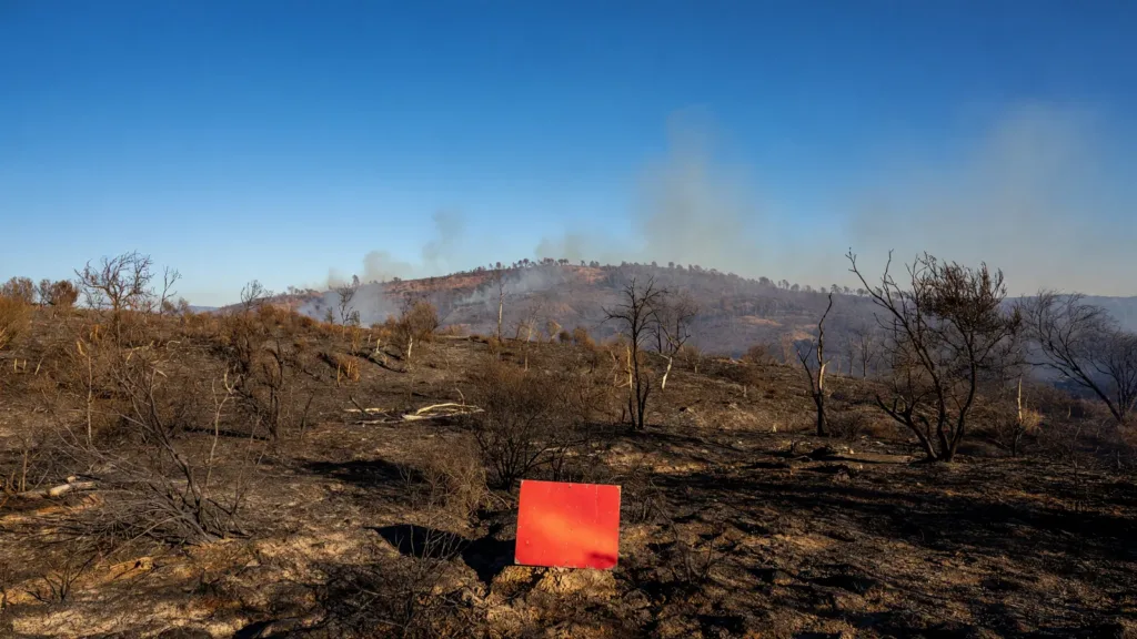Vigilance rouge canicule et feux de forêts en Haute-Garonne : forte mobilisation des sapeurs-pompiers