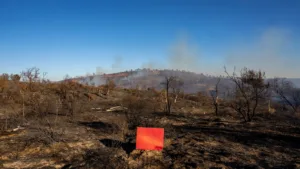 Vigilance rouge canicule et feux de forêts en Haute-Garonne : forte mobilisation des sapeurs-pompiers