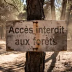 Vigilance rouge en Vendée : canicule extrême et air pollué à l'ozone
