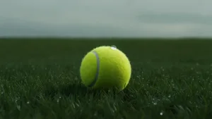 Wimbledon 2026 : Grigor Dimitrov réussit son retour victorieux