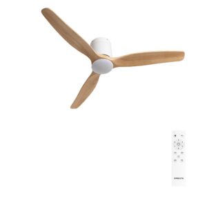 Wind Calm 40W avec lumiere