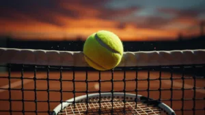 WTA Bad Homburg : à 46 ans, Venus Williams frôle l&rsquo;exploit avant de s&rsquo;incliner au tie-break