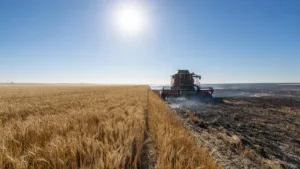 Yonne : restrictions agricoles renforcées après les incendies de récoltes
