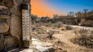 Yvelines : le préfet active la vigilance sécheresse face à la canicule