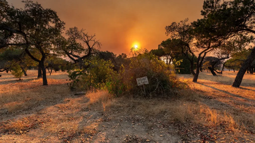 Yvelines : vigilance orange incendies de forêt maintenue, le préfet impose des restrictions