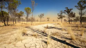 Aisne : vigilance orange feux de forêt, appel à la prudence
