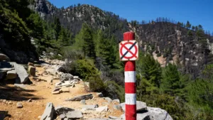 Albertacce : le feu fixé mais 300 hectares brûlés, surveillance active