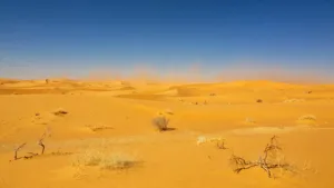 Algérie : alerte canicule maintenue, jusqu&rsquo;à 49°C dans le Sud
