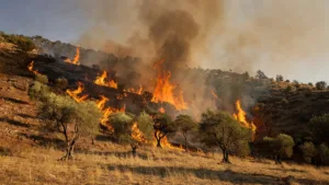Algérie : alerte rouge canicule, pic à 48°C et incendies massifs