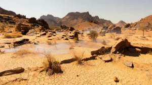 Algérie : canicule record à 49°C et incendies meurtriers mobilisent 19 000 agents