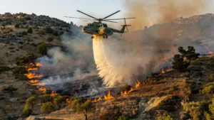 Algérie : la Protection civile éteint 91 incendies sur 103 en 24 heures