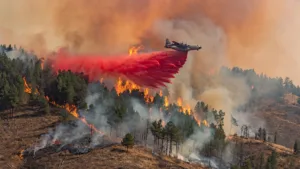 Algérie : six morts dans les incendies, 19 000 pompiers mobilisés