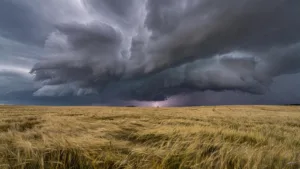 Allier : vigilance orange orages ce jeudi dès 16 h, rafales jusqu&rsquo;à 120 km/h