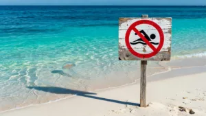 Anses-d&rsquo;Arlet : baignade interdite à l&rsquo;Anse Noire et l&rsquo;Anse Dufour