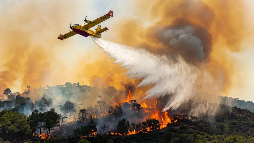 Ardèche : 120 hectares brûlés à Saint-Georges-les-Bains, 5 pompiers malades