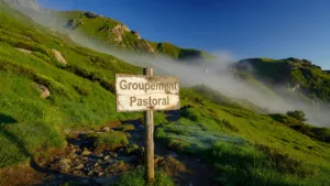 Ariège : le préfet d&rsquo;Occitanie rencontre les éleveurs face à la prédation